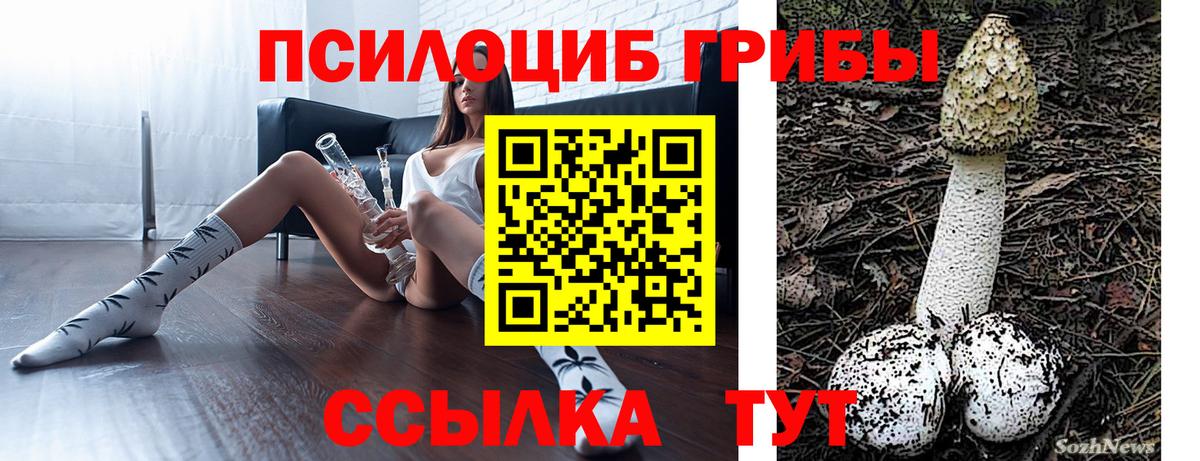 Псилоцибиновые грибы GOLDEN TEACHER  Вход с VPN  Северобайкальск  Галлюциногенные грибы Magic Shrooms 