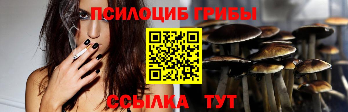 Галлюциногенные грибы GOLDEN TEACHER Северобайкальск